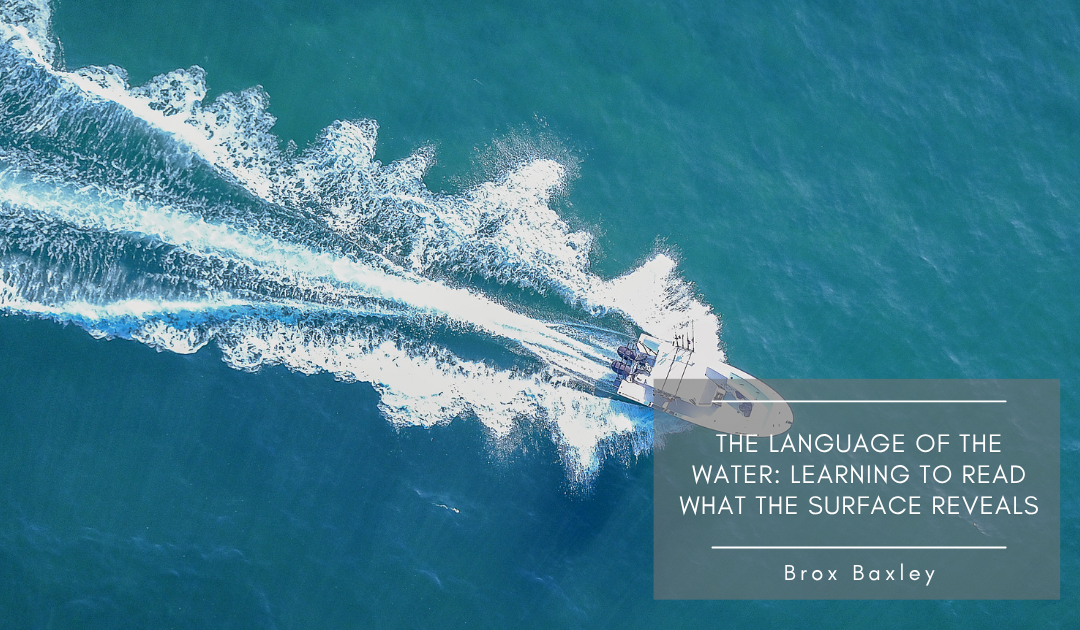 The Language of the Water: Learning to Read What the Surface Reveals