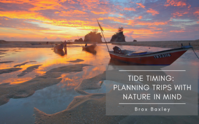 Tide Timing: Planning Trips with Nature in Mind